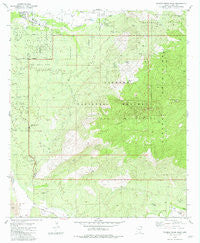 Tanque Verde Peak Arizona Historical topographic map, 1:24000 scale, 7.5 X 7.5 Minute, Year 1981