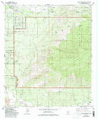 Tanque Verde Peak Arizona Historical topographic map, 1:24000 scale, 7.5 X 7.5 Minute, Year 1981