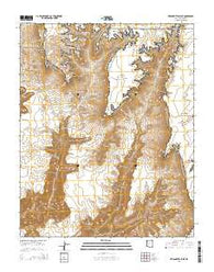 Tincanebitts Point Arizona Current topographic map, 1:24000 scale, 7.5 X 7.5 Minute, Year 2014