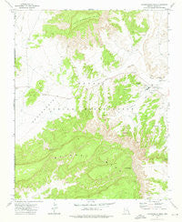 Toadindaaska Mesa Arizona Historical topographic map, 1:24000 scale, 7.5 X 7.5 Minute, Year 1972