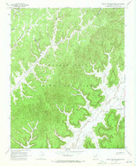 Toh Ne Zhonnie Spring Arizona Historical topographic map, 1:24000 scale, 7.5 X 7.5 Minute, Year 1968