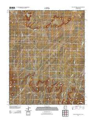 Toh Atin Mesa East Arizona Historical topographic map, 1:24000 scale, 7.5 X 7.5 Minute, Year 2011