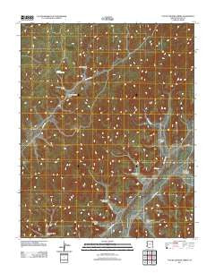 Toh Ne Zhonnie Spring Arizona Historical topographic map, 1:24000 scale, 7.5 X 7.5 Minute, Year 2011