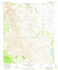 Tonto Basin Arizona Historical topographic map, 1:24000 scale, 7.5 X 7.5 Minute, Year 1964
