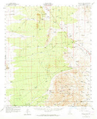 Tortolita Mts Arizona Historical topographic map, 1:62500 scale, 15 X 15 Minute, Year 1959