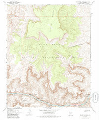 Travertine Rapids Arizona Historical topographic map, 1:24000 scale, 7.5 X 7.5 Minute, Year 1967