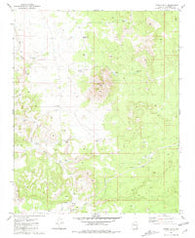 Trinity Mtn Arizona Historical topographic map, 1:24000 scale, 7.5 X 7.5 Minute, Year 1981
