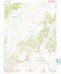 Tsin Naan Tee Arizona Historical topographic map, 1:24000 scale, 7.5 X 7.5 Minute, Year 1990