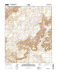 Tsin Naan Tee Arizona Current topographic map, 1:24000 scale, 7.5 X 7.5 Minute, Year 2014
