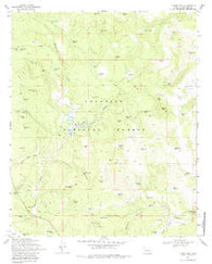 Turkey Mtn. Arizona Historical topographic map, 1:24000 scale, 7.5 X 7.5 Minute, Year 1970
