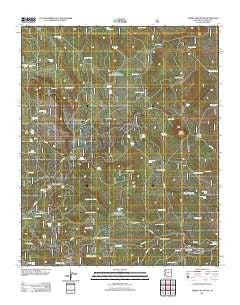 Turkey Mountain Arizona Historical topographic map, 1:24000 scale, 7.5 X 7.5 Minute, Year 2011