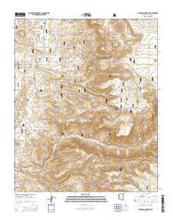 Walker Mountain Arizona Current topographic map, 1:24000 scale, 7.5 X 7.5 Minute, Year 2014