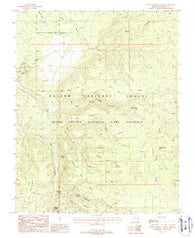 Warm Springs Canyon Arizona Historical topographic map, 1:24000 scale, 7.5 X 7.5 Minute, Year 1988