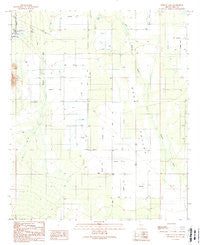 West of Avra Arizona Historical topographic map, 1:24000 scale, 7.5 X 7.5 Minute, Year 1989