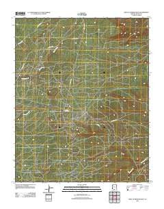 West of Window Rock Arizona Historical topographic map, 1:24000 scale, 7.5 X 7.5 Minute, Year 2011