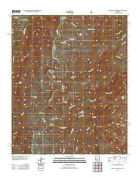 Wet Bottom Mesa Arizona Historical topographic map, 1:24000 scale, 7.5 X 7.5 Minute, Year 2011