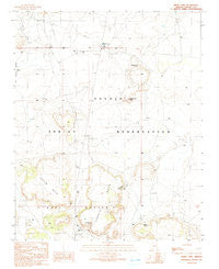White Cone Arizona Historical topographic map, 1:24000 scale, 7.5 X 7.5 Minute, Year 1991