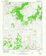 White Cone Arizona Historical topographic map, 1:62500 scale, 15 X 15 Minute, Year 1966
