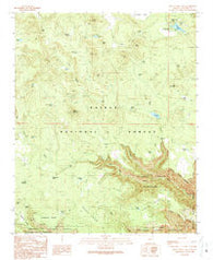 White Horse Lake Arizona Historical topographic map, 1:24000 scale, 7.5 X 7.5 Minute, Year 1989