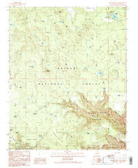 White Horse Lake Arizona Historical topographic map, 1:24000 scale, 7.5 X 7.5 Minute, Year 1989