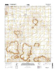 White Cone Arizona Current topographic map, 1:24000 scale, 7.5 X 7.5 Minute, Year 2014