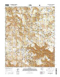 White Horse Lake Arizona Current topographic map, 1:24000 scale, 7.5 X 7.5 Minute, Year 2014
