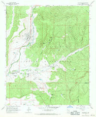 Whiteriver Arizona Historical topographic map, 1:24000 scale, 7.5 X 7.5 Minute, Year 1967