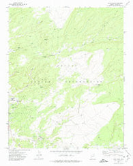 Wide Ruins Arizona Historical topographic map, 1:24000 scale, 7.5 X 7.5 Minute, Year 1971