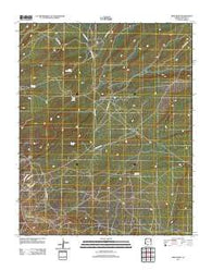 Wide Ruins Arizona Historical topographic map, 1:24000 scale, 7.5 X 7.5 Minute, Year 2011