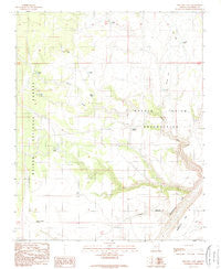 Willows Camp Arizona Historical topographic map, 1:24000 scale, 7.5 X 7.5 Minute, Year 1989
