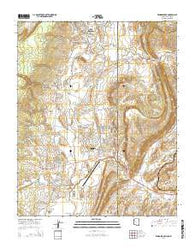Window Rock Arizona Current topographic map, 1:24000 scale, 7.5 X 7.5 Minute, Year 2014