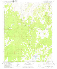Wolf Hole Mtn. East Arizona Historical topographic map, 1:24000 scale, 7.5 X 7.5 Minute, Year 1979
