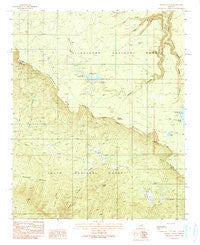 Woods Canyon Arizona Historical topographic map, 1:24000 scale, 7.5 X 7.5 Minute, Year 1990