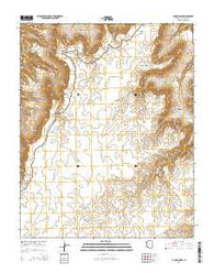 Yunosi Point Arizona Current topographic map, 1:24000 scale, 7.5 X 7.5 Minute, Year 2014