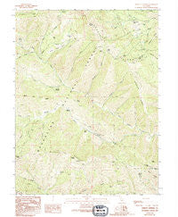 Bartlett Springs California Historical topographic map, 1:24000 scale, 7.5 X 7.5 Minute, Year 1989