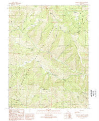 Bartlett Springs California Historical topographic map, 1:24000 scale, 7.5 X 7.5 Minute, Year 1989