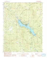 Bass Lake California Historical topographic map, 1:24000 scale, 7.5 X 7.5 Minute, Year 1990
