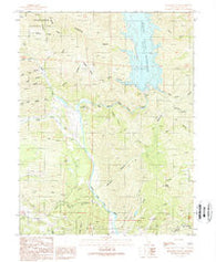 Benmore Canyon California Historical topographic map, 1:24000 scale, 7.5 X 7.5 Minute, Year 1989