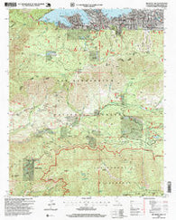 Big Bear Lake California Historical topographic map, 1:24000 scale, 7.5 X 7.5 Minute, Year 1996