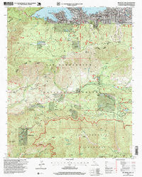 Big Bear Lake California Historical topographic map, 1:24000 scale, 7.5 X 7.5 Minute, Year 1996