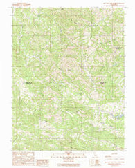 Big Foot Mountain California Historical topographic map, 1:24000 scale, 7.5 X 7.5 Minute, Year 1991