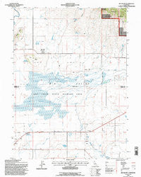 Big Swamp California Historical topographic map, 1:24000 scale, 7.5 X 7.5 Minute, Year 1993