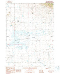 Big Swamp California Historical topographic map, 1:24000 scale, 7.5 X 7.5 Minute, Year 1990