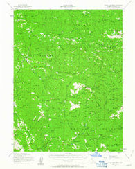 Blackrock Mtn California Historical topographic map, 1:62500 scale, 15 X 15 Minute, Year 1954