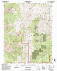 Blanco Mountain California Historical topographic map, 1:24000 scale, 7.5 X 7.5 Minute, Year 1994