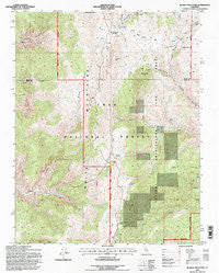 Blanco Mountain California Historical topographic map, 1:24000 scale, 7.5 X 7.5 Minute, Year 1994