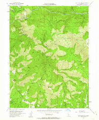 Blue Nose Mtn California Historical topographic map, 1:24000 scale, 7.5 X 7.5 Minute, Year 1951