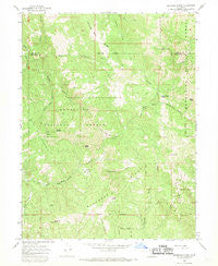 Bluenose Ridge California Historical topographic map, 1:24000 scale, 7.5 X 7.5 Minute, Year 1967