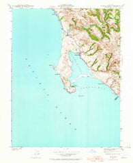 Bodega Head California Historical topographic map, 1:24000 scale, 7.5 X 7.5 Minute, Year 1942