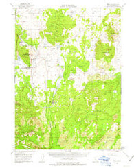 Bray California Historical topographic map, 1:62500 scale, 15 X 15 Minute, Year 1950